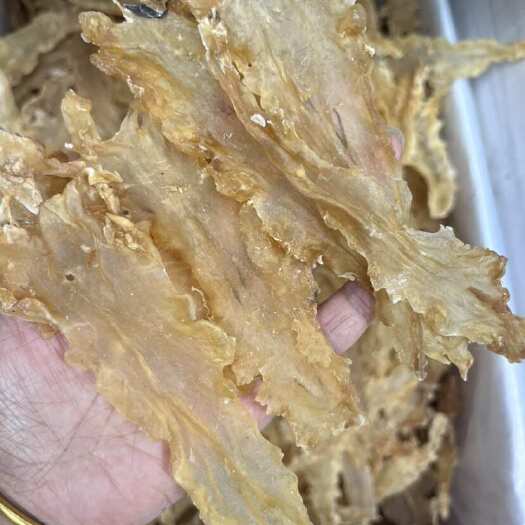 广州55头精品鳕鱼胶