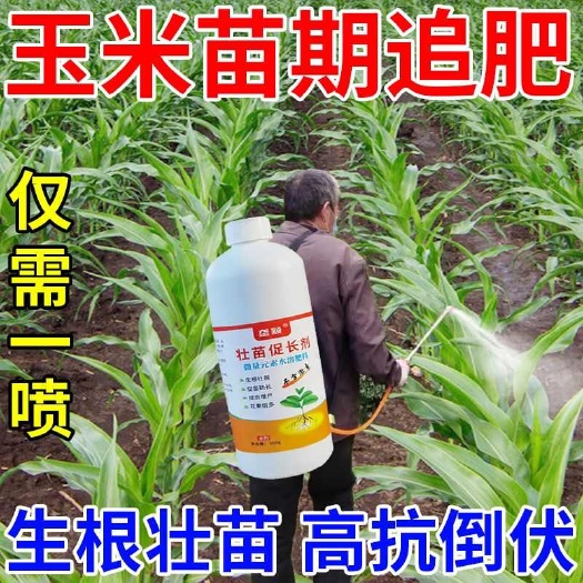 栾川县玉米专用肥壮苗促长剂玉米提苗剂棒大粒饱扛倒早熟增产增收叶面肥