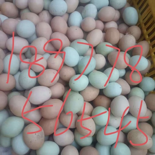 鹿寨县绿壳乌鸡蛋
