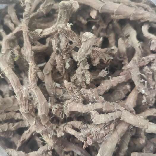 郧西县生长十年以上中药材石菖蒲