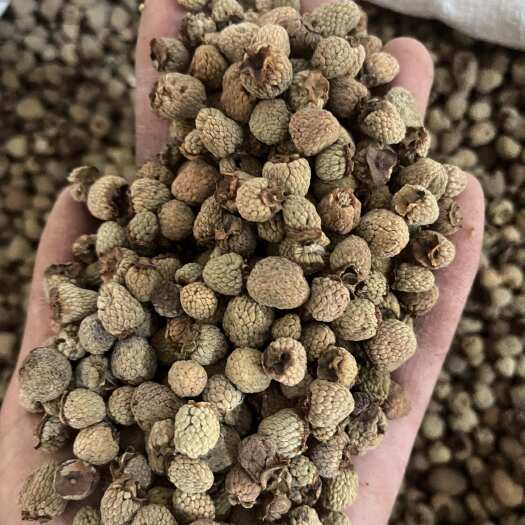 鄄城县【文斌药业】覆盆子 统装货 干净 过筛货