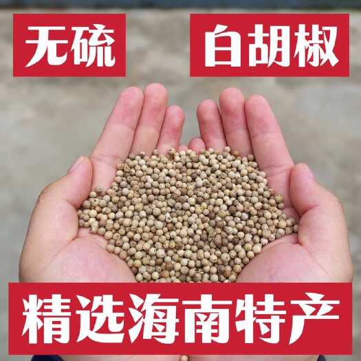 容县胡椒
