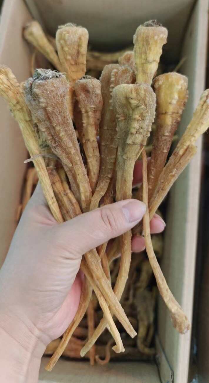 藏雪参云南产地货源 中药材批发 规格齐全 量大价优