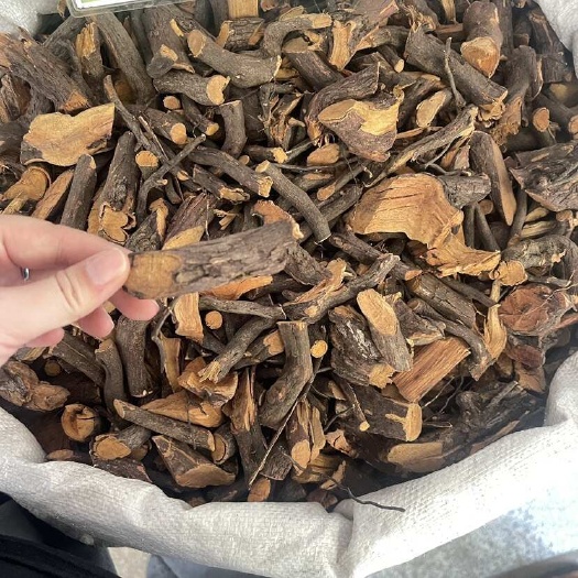 玉林【铁包金】纯根部 新货乌龙根勾儿茶 假榄仔乌口仔 老鼠耳