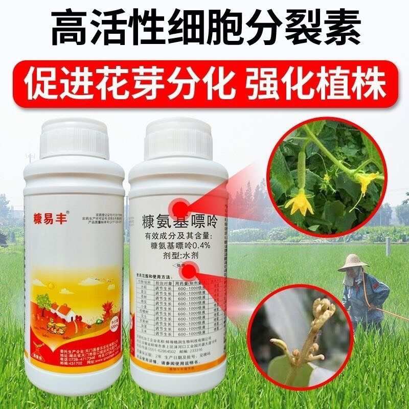 果绿核金糠氨基嘌呤促花拉长膨果蔬菜果树水稻植物生长调节剂农药