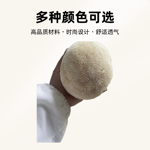 六盘水贵州深山鲜猴头菇