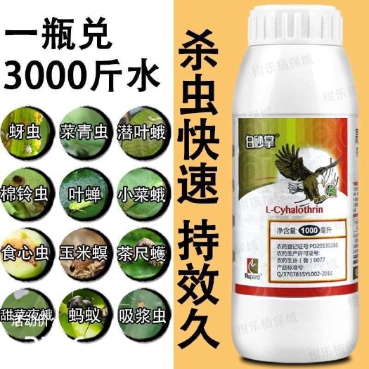 东莞市白砂掌杀虫剂2.5%高效氯氟氰菊酯水乳剂甘蓝菜青虫批发价厂家