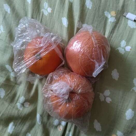 蓬安县自家果园血橙