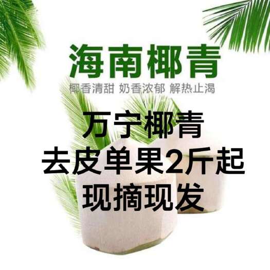 万宁市《一件代发》海南万宁削皮青椰老椰子天然水6/9个包邮包售后