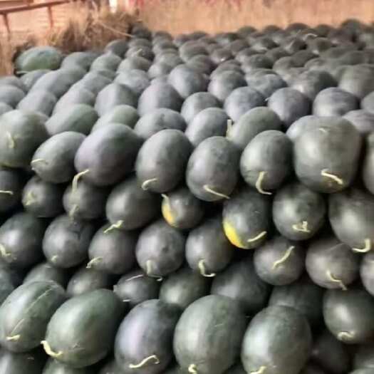 南宁黑美人，大瓜6斤起，腰部肥润，口感特好