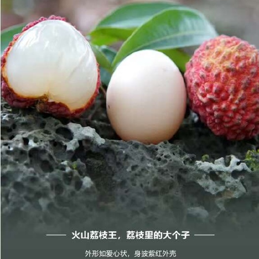 融安县海南荔枝王，比鸡蛋还大的荔枝3斤起顺丰快递空运包邮