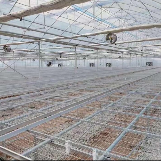 成都温室大棚培植苗床