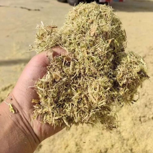 优质柠条草粉