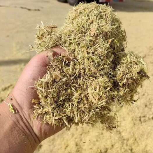 四子王旗优质柠条草粉