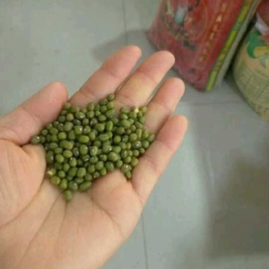  绿豆