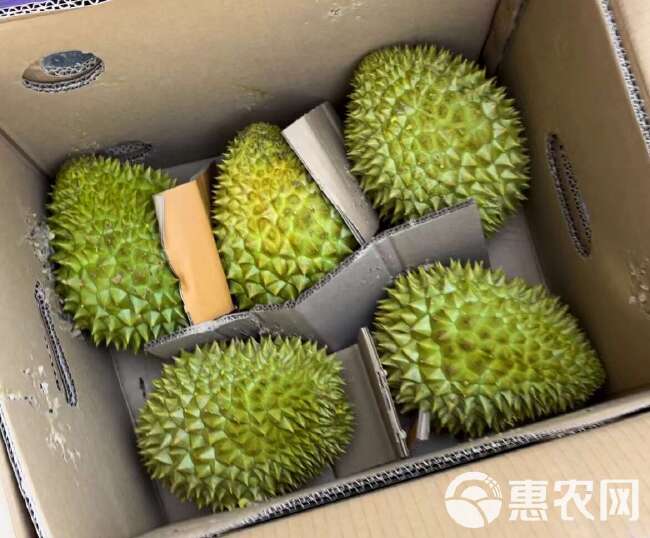 越南精品干尧A果 对接 商超 水果店