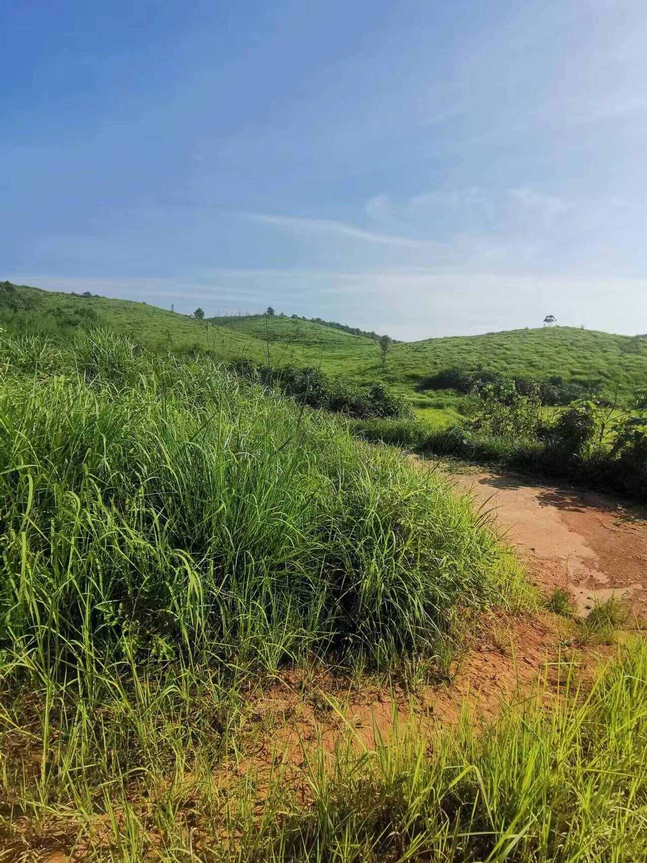 湖南衡阳地区山地 旱地 水田村集体资源出租