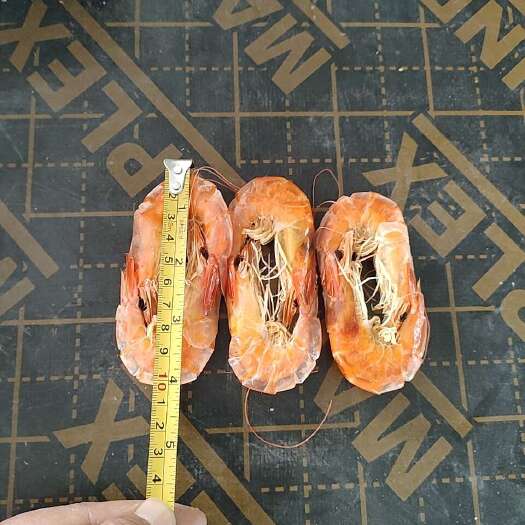 滨州对虾虾干