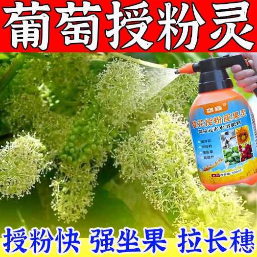 栾川县新型葡萄授粉座果灵免人工授粉防落果防裂果树专用授粉剂叶面肥