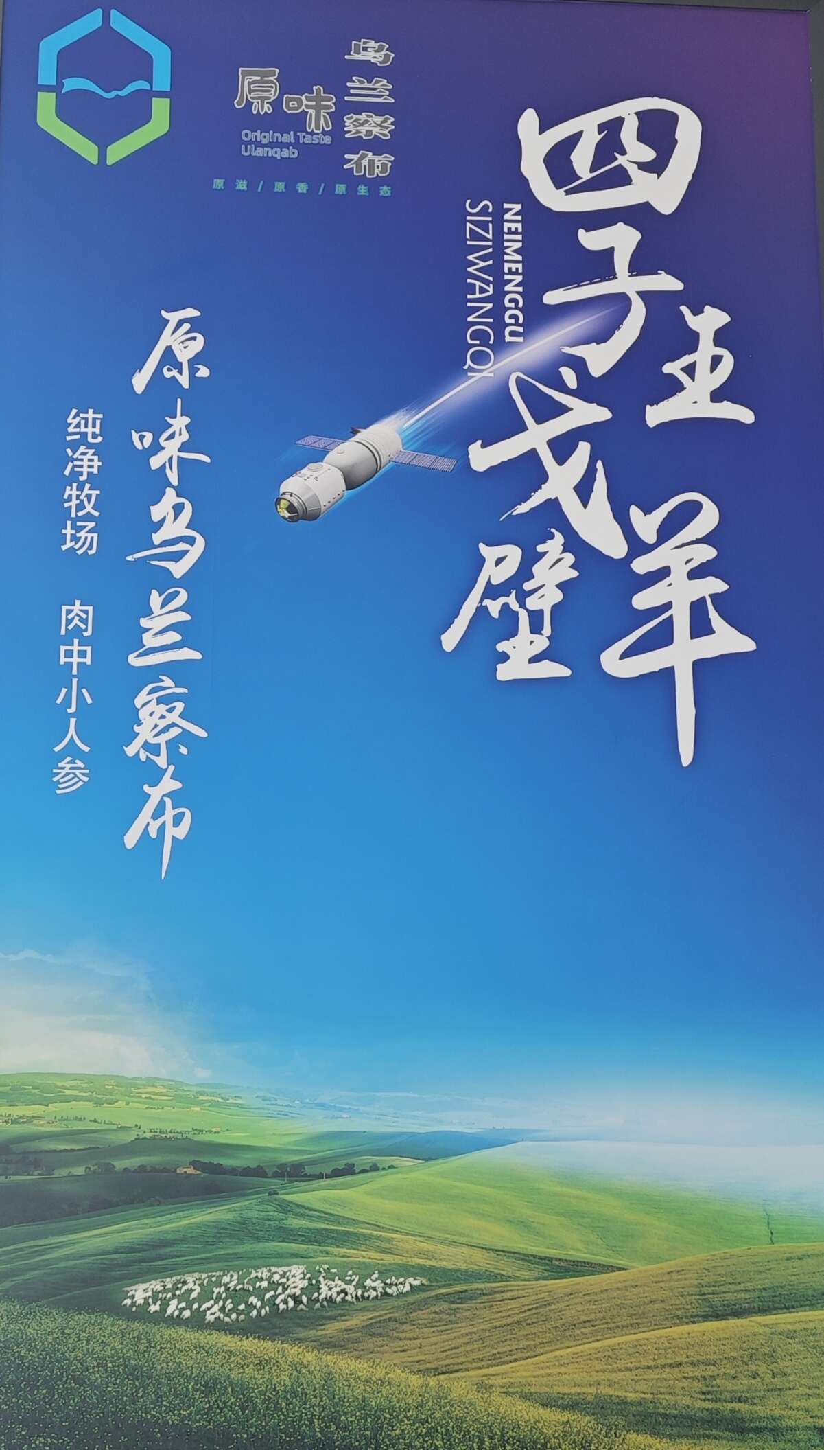 内蒙古四子王旗戈壁羊