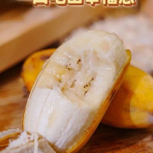 徐闻县广东徐闻苹果蕉