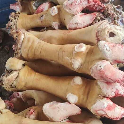 河间市生牛蹄 火烧去毛