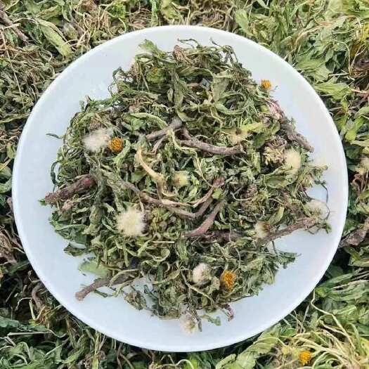 亳州蒲公英 中药材蒲公英