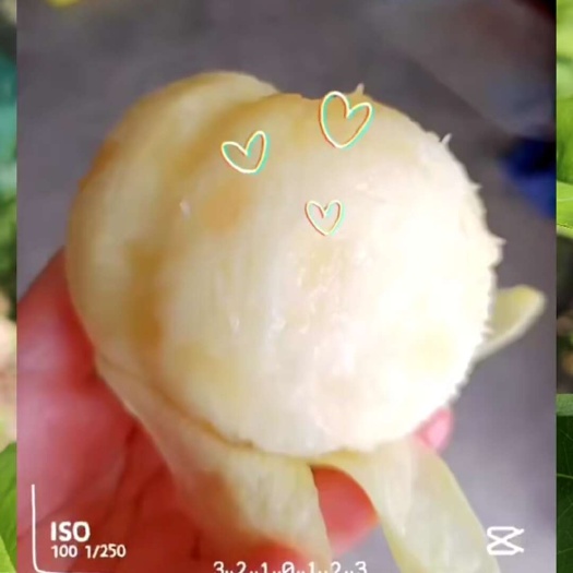 无锡阳山水蜜桃