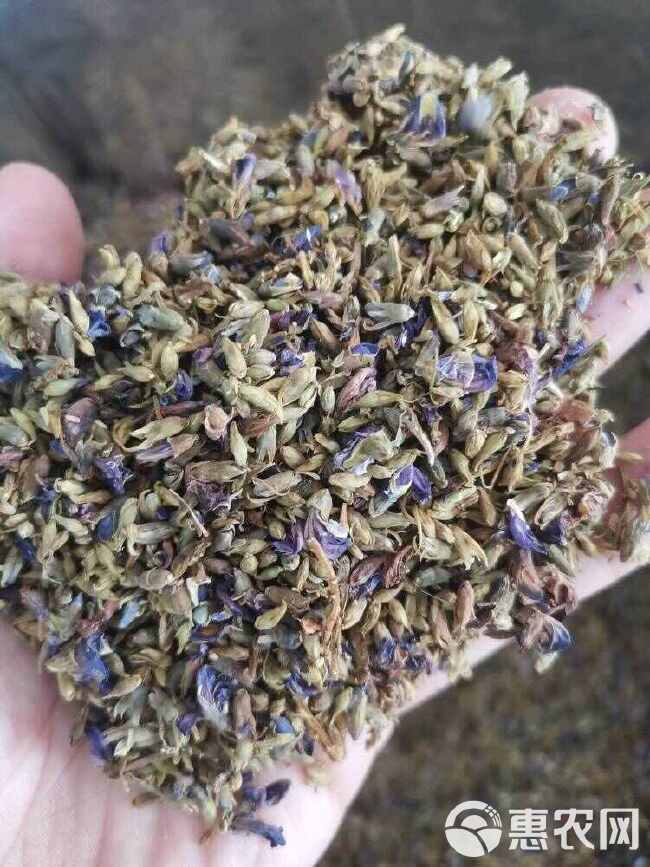 葛花 葛根花 葛花 中药材批发茶饮