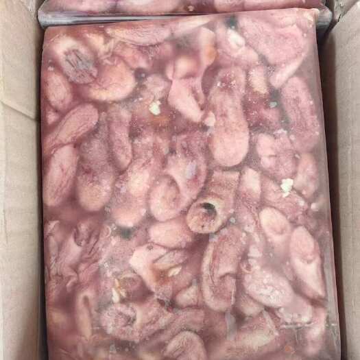 连云港【工厂直销】脆口鱼肚新鲜冷冻鱼肚鱼泡鱼鳔酒店火锅食材巴沙鱼肚