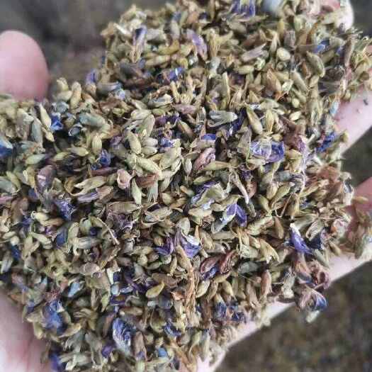 葛花 葛根花 葛花 中药材批发茶饮