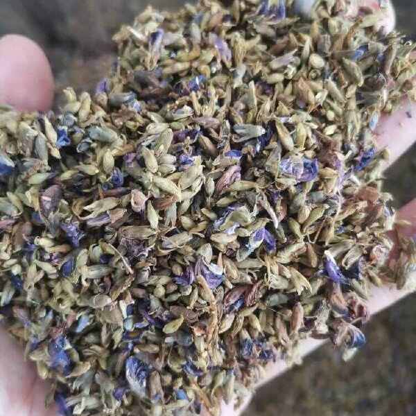 葛花 葛根花 葛花 中药材批发茶饮