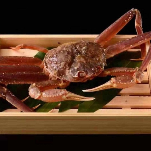成都松叶蟹