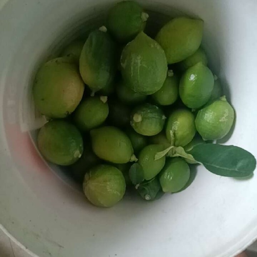 梧州二级果