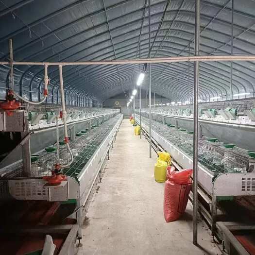 武汉专业生产温室大棚钢管 蔬菜大棚和牛 羊养殖棚