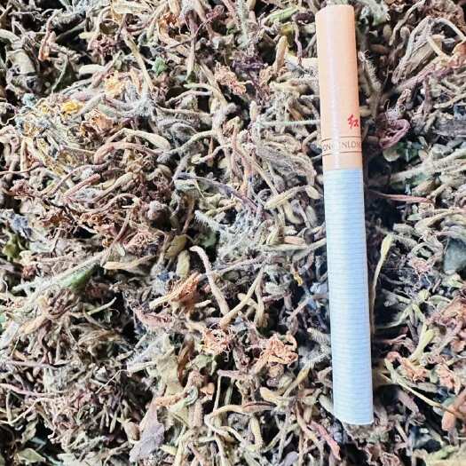 大悟县湖北野生带毛金银花