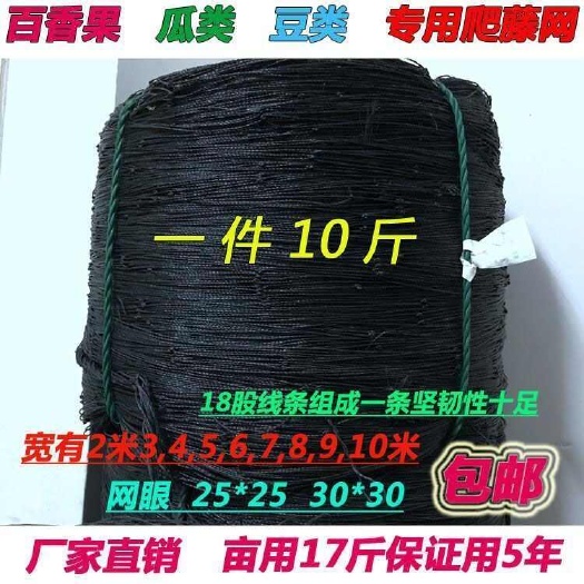 廉江市百香果搭架网种植网 黄瓜果爬藤植物果蔬爬藤网 1件10斤耐用