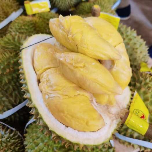 昆明一件代发 泰国甲仑榴莲鲜果2-10斤每个包三房