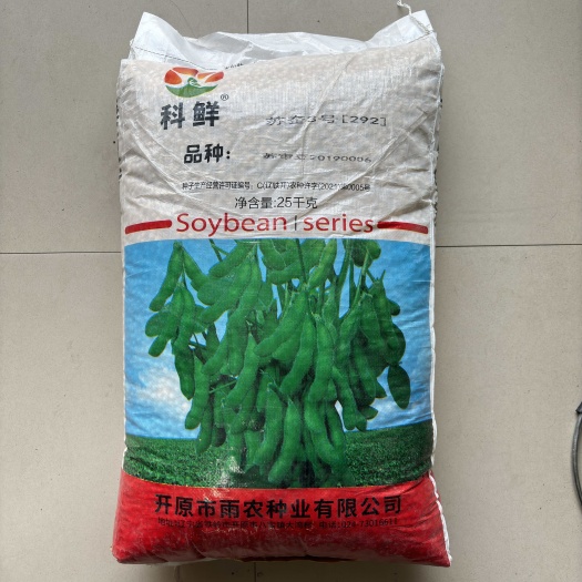 沭阳县毛豆种子