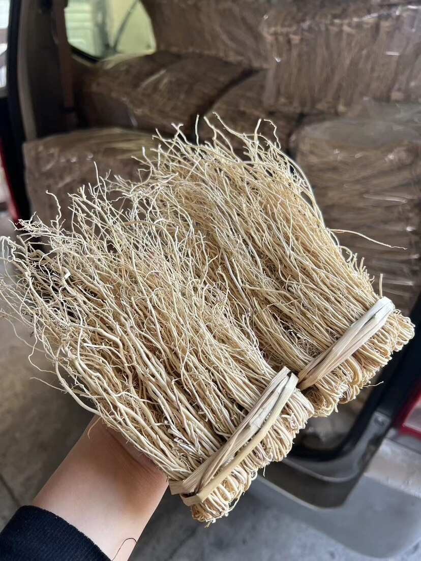 养肝草 展会 地摊 电商 养肝草 龙须根 粤北养肝草