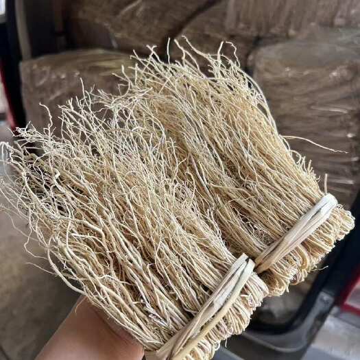 养肝草 展会 地摊 电商 养肝草 龙须根 粤北养肝草