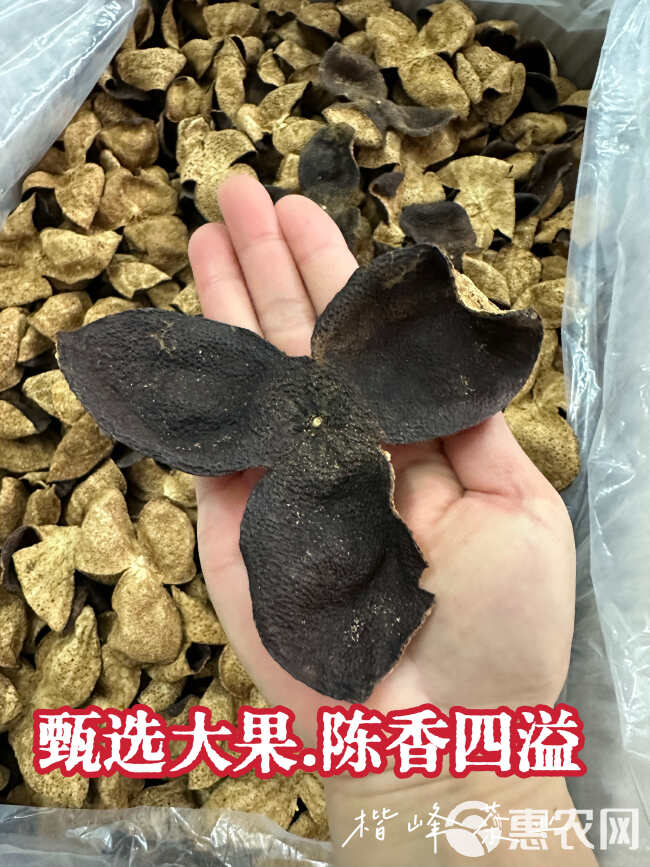 新会陈皮 大量批发 陈皮 陈皮干 大红柑 陈皮茶泡水 老陈皮