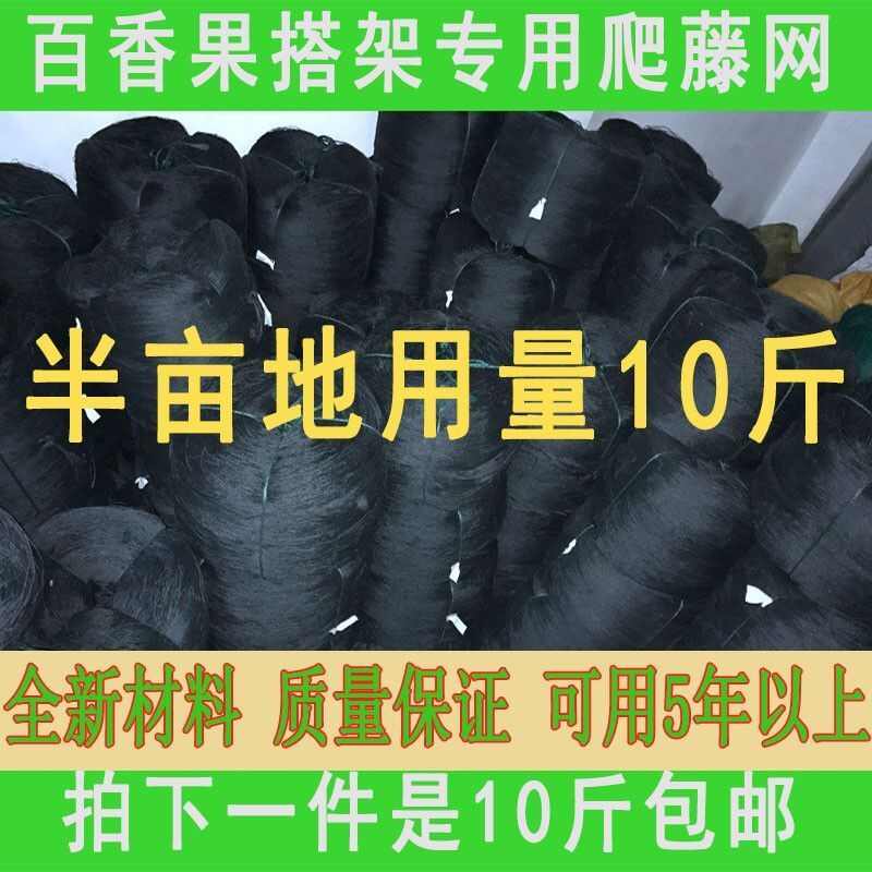 百香果搭架网种植网 黄瓜果爬藤植物果蔬爬藤网 1件10斤耐用