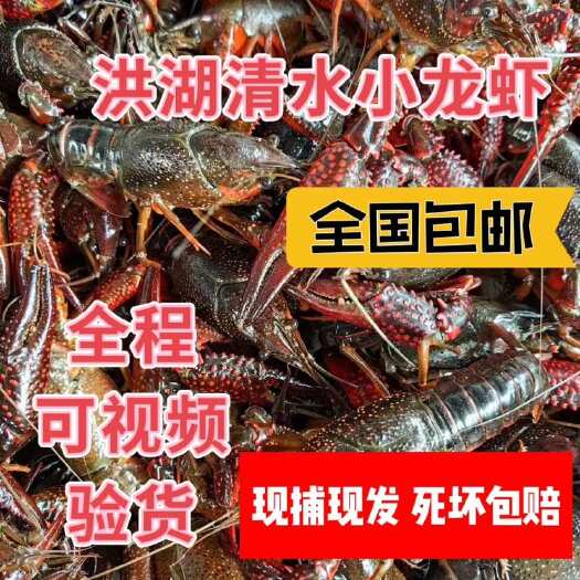 洪湖市大青