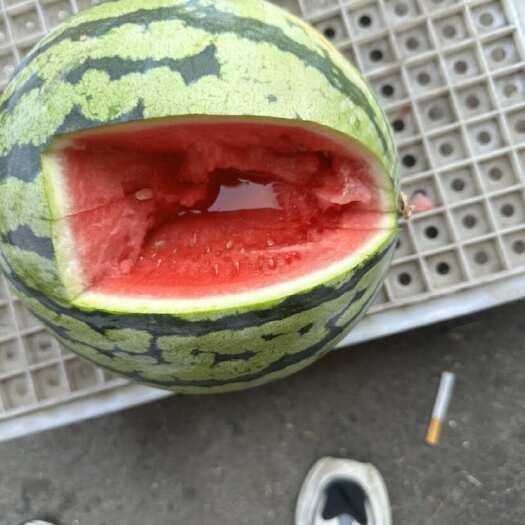美都西瓜
