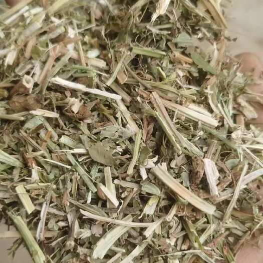 正阳县花生秧无土无膜无霉黄绿