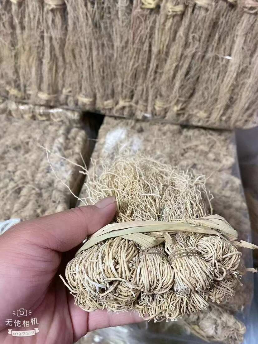 养肝草 展会 地摊 电商 养肝草 龙须根 粤北养肝草