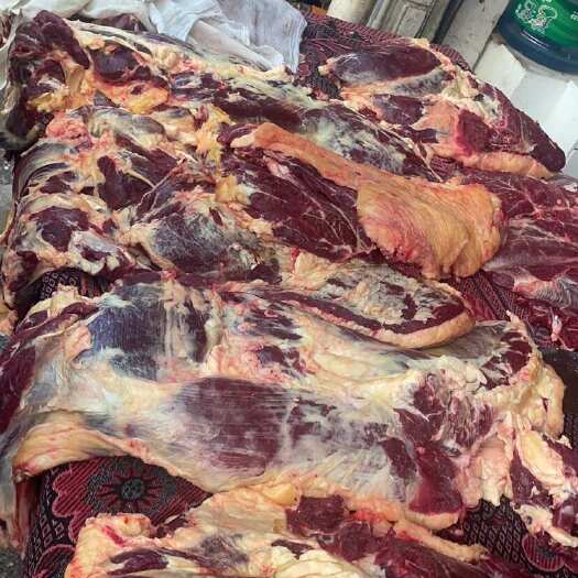 昆明前腿肉 后腿肉 清真新鲜现宰牛肉 潮汕火锅烤肉 价格给力