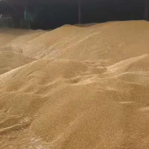  小麦
