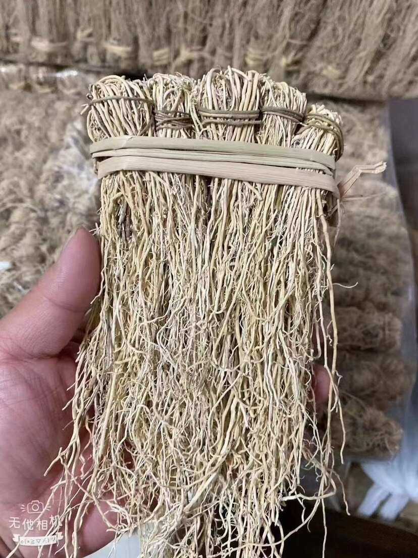 养肝草 展会 地摊 电商 养肝草 龙须根 粤北养肝草